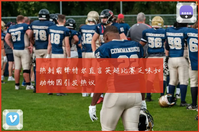 热刺前锋特尔直言英超比赛乏味如动物园引发热议